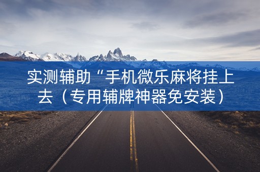 实测辅助“手机微乐麻将挂上去（专用辅牌神器免安装）