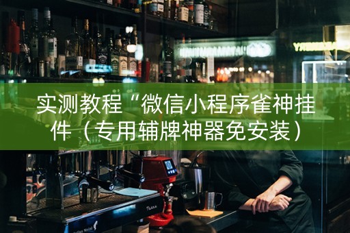 实测教程“微信小程序雀神挂件（专用辅牌神器免安装）
