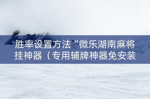 胜率设置方法“微乐湖南麻将挂神器（专用辅牌神器免安装）