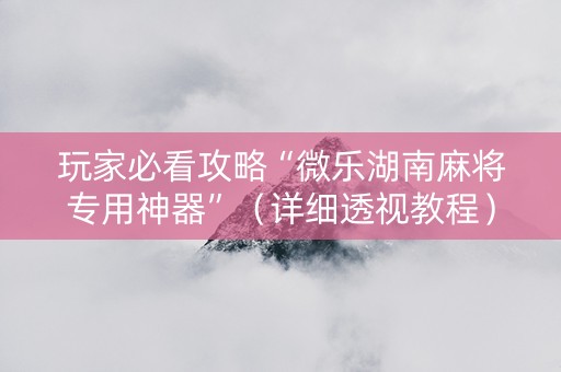玩家必看攻略“微乐湖南麻将专用神器”（详细透视教程）-哔哩哔哩