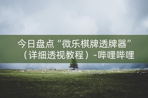 今日盘点“微乐棋牌透牌器”（详细透视教程）-哔哩哔哩