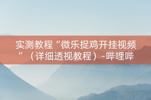 实测教程“微乐捉鸡开挂视频”（详细透视教程）-哔哩哔哩