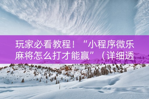 玩家必看教程！“小程序微乐麻将怎么打才能赢”（详细透视教程）-哔哩哔哩