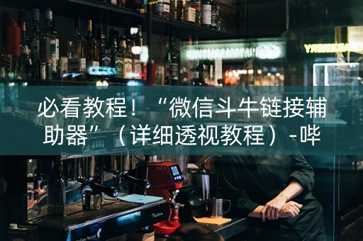 必看教程！“微信斗牛链接辅助器”（详细透视教程）-哔哩哔哩