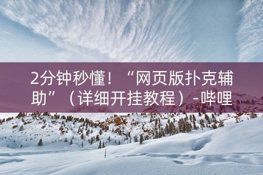 2分钟秒懂！“网页版扑克辅助”（详细开挂教程）-哔哩哔哩