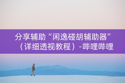 分享辅助“闲逸碰胡辅助器”（详细透视教程）-哔哩哔哩