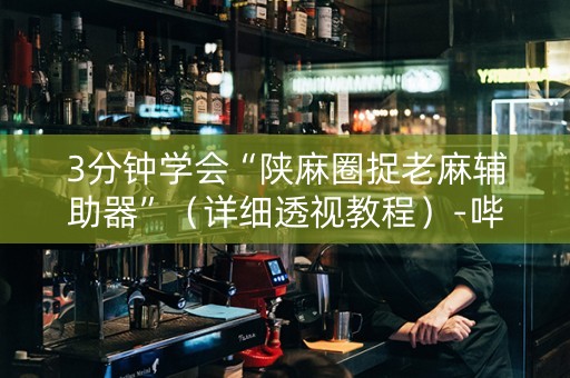 3分钟学会“陕麻圈捉老麻辅助器”（详细透视教程）-哔哩哔哩