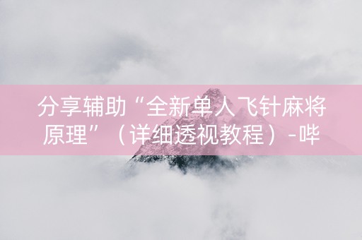 分享辅助“全新单人飞针麻将原理”（详细透视教程）-哔哩哔哩