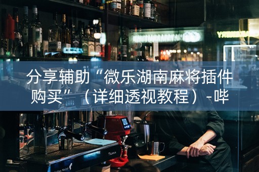 分享辅助“微乐湖南麻将插件购买”（详细透视教程）-哔哩哔哩