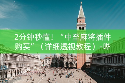2分钟秒懂！“中至麻将插件购买”（详细透视教程）-哔哩哔哩