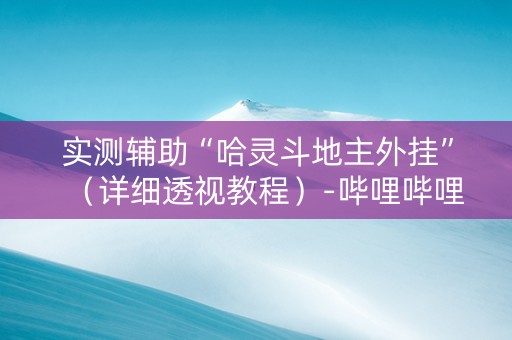 实测辅助“哈灵斗地主外挂”（详细透视教程）-哔哩哔哩