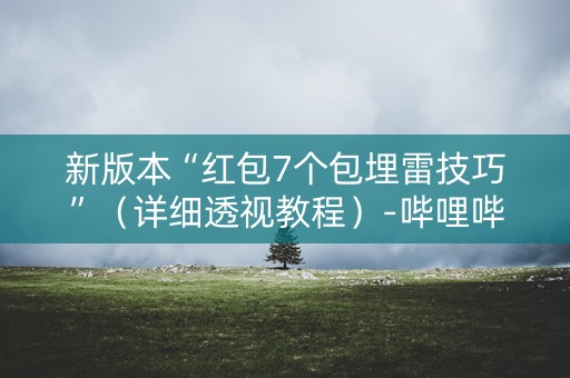 新版本“红包7个包埋雷技巧”（详细透视教程）-哔哩哔哩