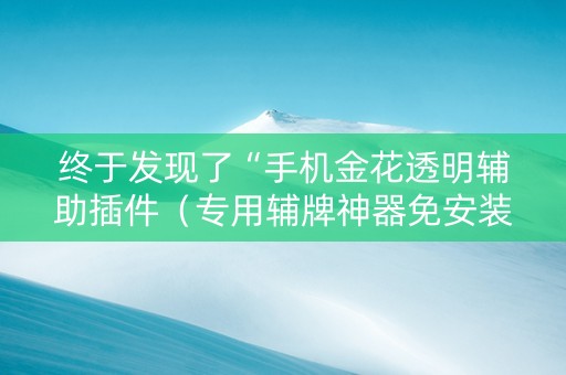 终于发现了“手机金花透明辅助插件（专用辅牌神器免安装）