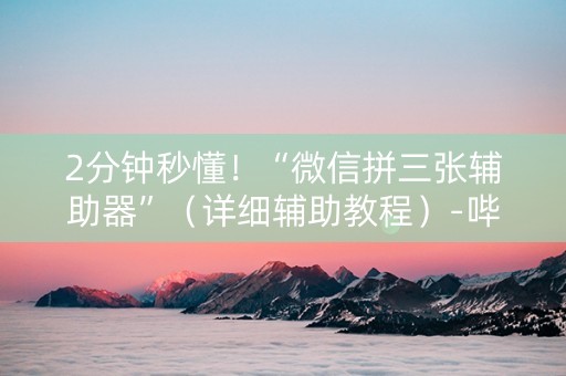 2分钟秒懂！“微信拼三张辅助器”（详细辅助教程）-哔哩哔哩