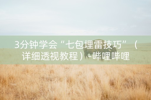 3分钟学会“七包埋雷技巧”（详细透视教程）-哔哩哔哩