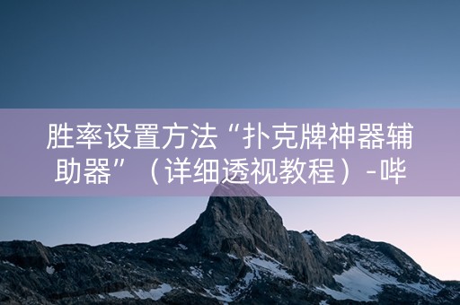 胜率设置方法“扑克牌神器辅助器”（详细透视教程）-哔哩哔哩
