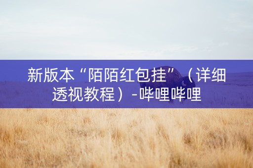 新版本“陌陌红包挂”（详细透视教程）-哔哩哔哩