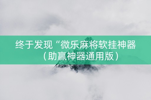 终于发现“微乐麻将软挂神器（助赢神器通用版）
