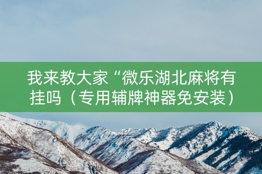 我来教大家“微乐湖北麻将有挂吗（专用辅牌神器免安装）