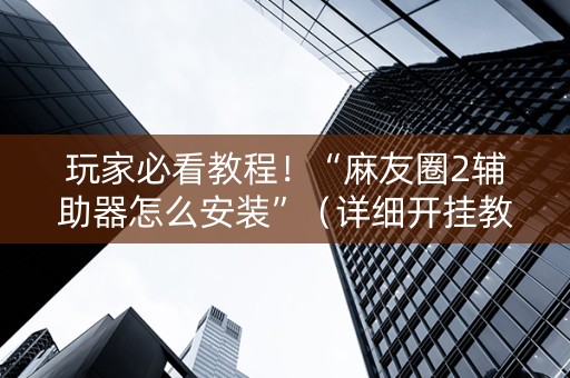 玩家必看教程！“麻友圈2辅助器怎么安装”（详细开挂教程）-哔哩哔哩