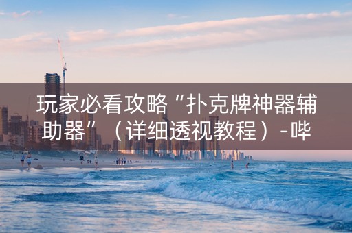 玩家必看攻略“扑克牌神器辅助器”（详细透视教程）-哔哩哔哩