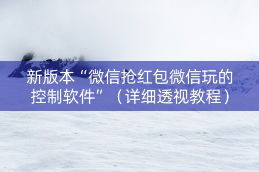 新版本“微信抢红包微信玩的控制软件”（详细透视教程）-哔哩哔哩