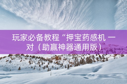 玩家必备教程“押宝药感机 一对（助赢神器通用版）