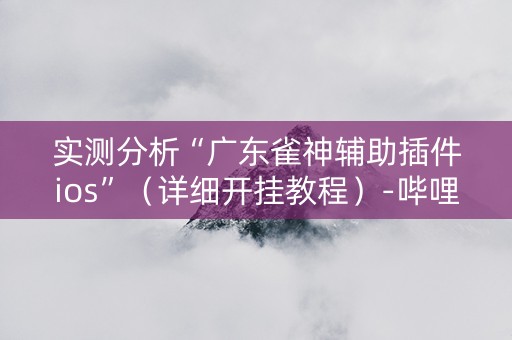实测分析“广东雀神辅助插件ios”（详细开挂教程）-哔哩哔哩