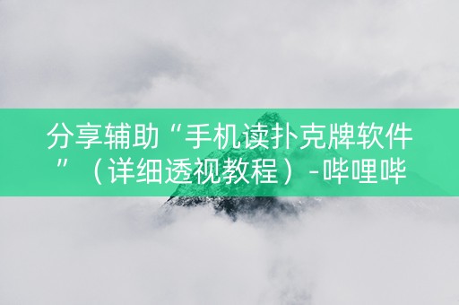 分享辅助“手机读扑克牌软件”（详细透视教程）-哔哩哔哩