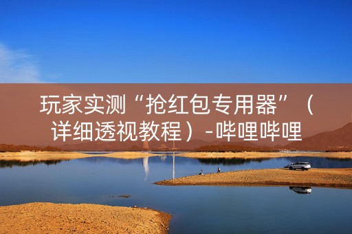 玩家实测“抢红包专用器”（详细透视教程）-哔哩哔哩