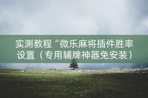 实测教程“微乐麻将插件胜率设置（专用辅牌神器免安装）