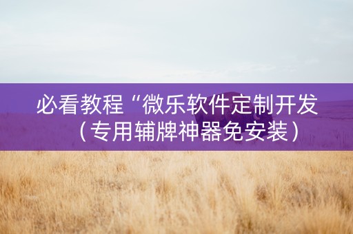 必看教程“微乐软件定制开发（专用辅牌神器免安装）