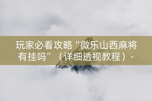 玩家必看攻略“微乐山西麻将有挂吗”（详细透视教程）-哔哩哔哩