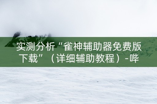 实测分析“雀神辅助器免费版下载”（详细辅助教程）-哔哩哔哩