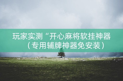 玩家实测“开心麻将软挂神器（专用辅牌神器免安装）