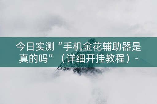今日实测“手机金花辅助器是真的吗”（详细开挂教程）-哔哩哔哩