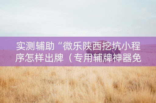 实测辅助“微乐陕西挖坑小程序怎样出牌（专用辅牌神器免安装）