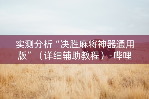实测分析“决胜麻将神器通用版”（详细辅助教程）-哔哩哔哩