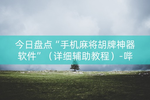 今日盘点“手机麻将胡牌神器软件”（详细辅助教程）-哔哩哔哩