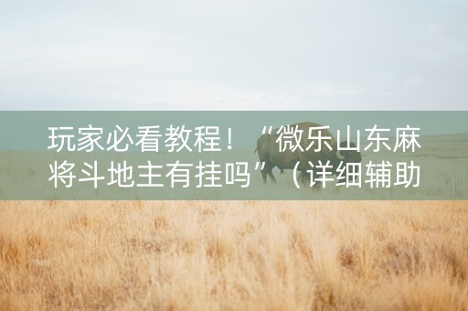 玩家必看教程！“微乐山东麻将斗地主有挂吗”（详细辅助教程）-哔哩哔哩