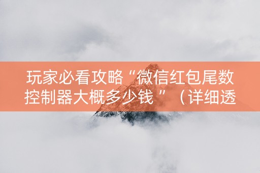 玩家必看攻略“微信红包尾数控制器大概多少钱 ”（详细透视教程）-哔哩哔哩