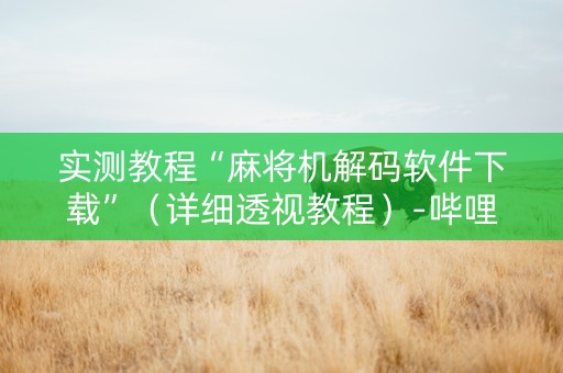实测教程“麻将机解码软件下载”（详细透视教程）-哔哩哔哩