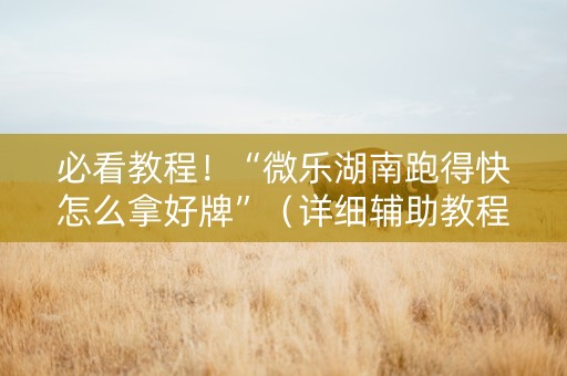 必看教程！“微乐湖南跑得快怎么拿好牌”（详细辅助教程）-哔哩哔哩