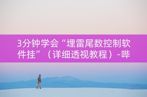 3分钟学会“埋雷尾数控制软件挂”（详细透视教程）-哔哩哔哩