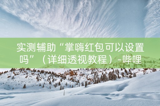 实测辅助“掌嗨红包可以设置吗”（详细透视教程）-哔哩哔哩
