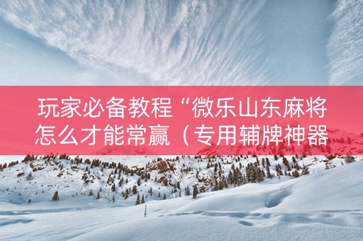 玩家必备教程“微乐山东麻将怎么才能常赢（专用辅牌神器免安装）