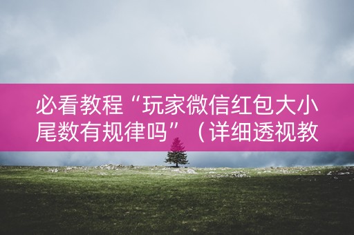 必看教程“玩家微信红包大小尾数有规律吗”（详细透视教程）-哔哩哔哩
