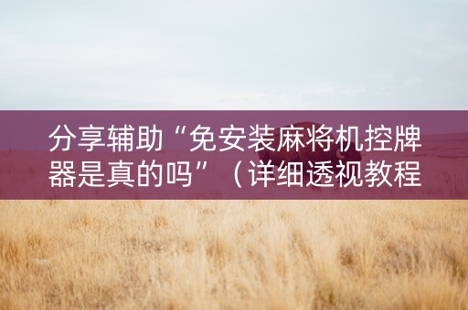 分享辅助“免安装麻将机控牌器是真的吗”（详细透视教程）-哔哩哔哩