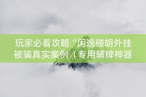 玩家必看攻略“闲逸碰胡外挂被骗真实案例（专用辅牌神器免安装）