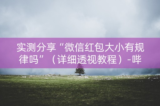 实测分享“微信红包大小有规律吗”（详细透视教程）-哔哩哔哩